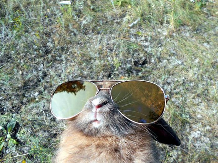 Acid Picdump (131 pics)