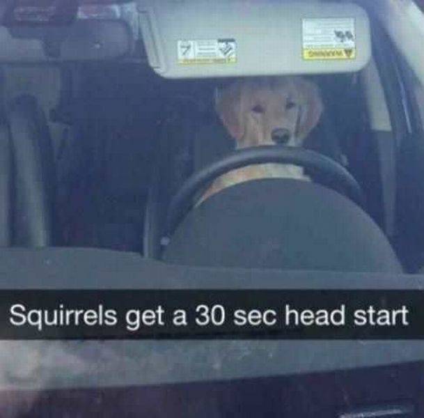 Acid Picdump (131 pics)