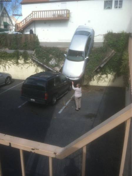 Acid Picdump (131 pics)