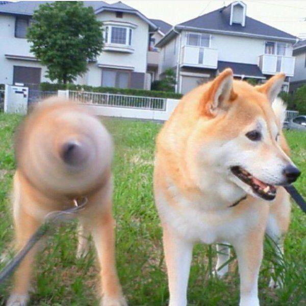 Acid Picdump (131 pics)