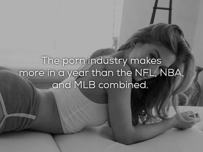 Interesting Facts That Every Porn Lover Needs To Know About The Porn Industry (13 pics)