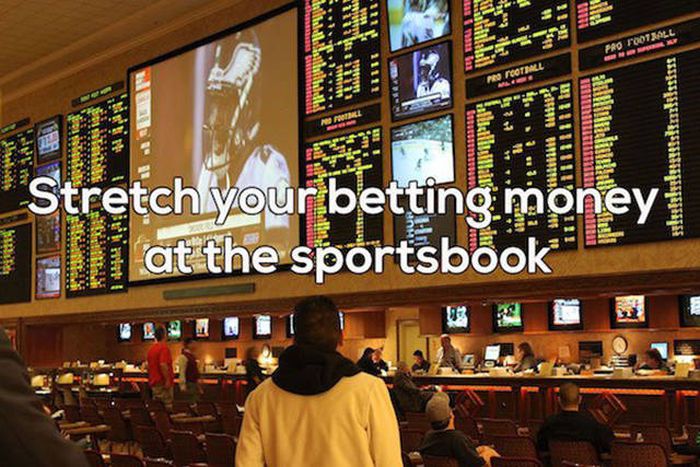 Helpful Tips That Will Help You Survive A Trip To Las Vegas (21 pics)