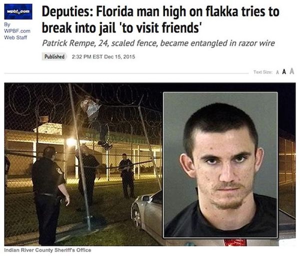Outrageous Crimes That Couldn't Have Happened Anywhere Else But Florida (18 pics)