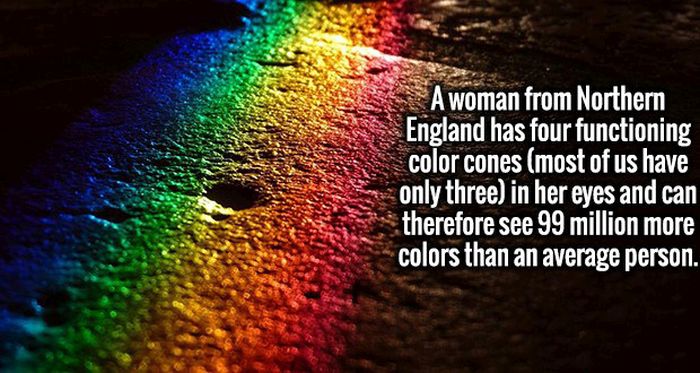 Interesting Facts That Will Impress Your Intellectual Mind (19 pics)