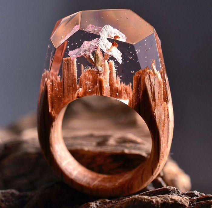 The Different Seasons Are Captured Inside These Impressive Wooden Rings (14 pics)