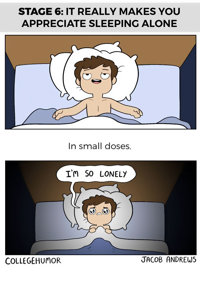 Hilarious Illustrations That Capture The Stages Of Sleeping With Your Partner (6 pics)