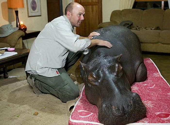Unusual Pets That Most People Wouldn't Dare To Own (41 pics)