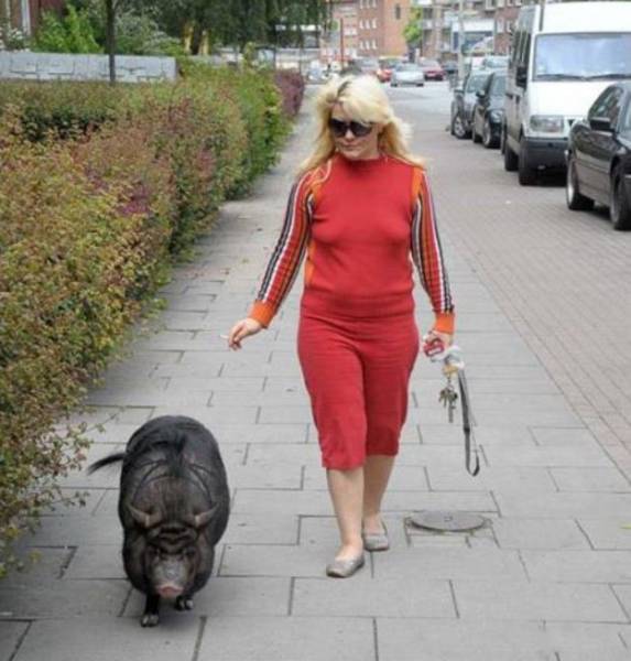 Unusual Pets That Most People Wouldn't Dare To Own (41 pics)