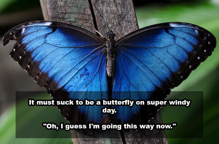 Awesome Shower Thoughts That Will Entertain Your Beautiful Mind (18 pics)