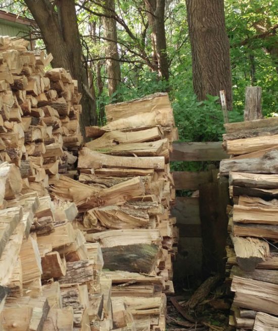 Can Your Eyes Spot The Cat In This Picture? (2 pics)