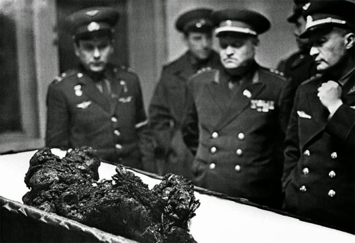 Rare Vintage Photos That Show A Different Side Of History (38 pics)