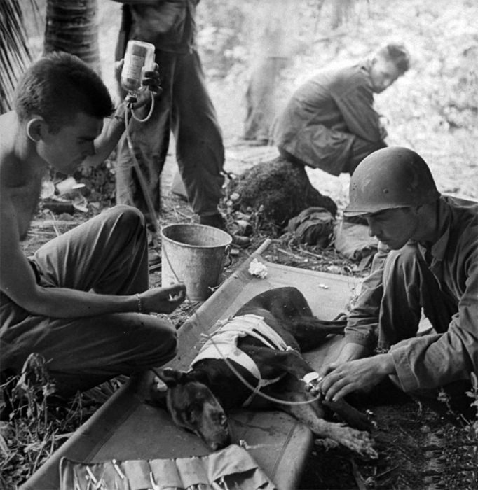 Rare Vintage Photos That Show A Different Side Of History (38 pics)