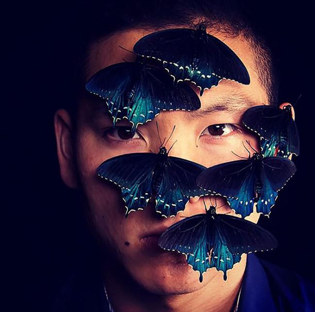 How One Man Repopulated A Rare Butterfly Species In His Backyard (10 pics)