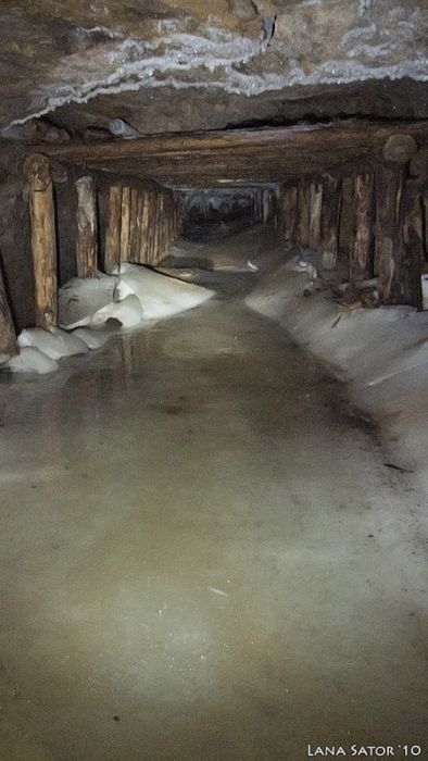 Mysterious Tunnel Discovered In An Old Shed (20 pics)
