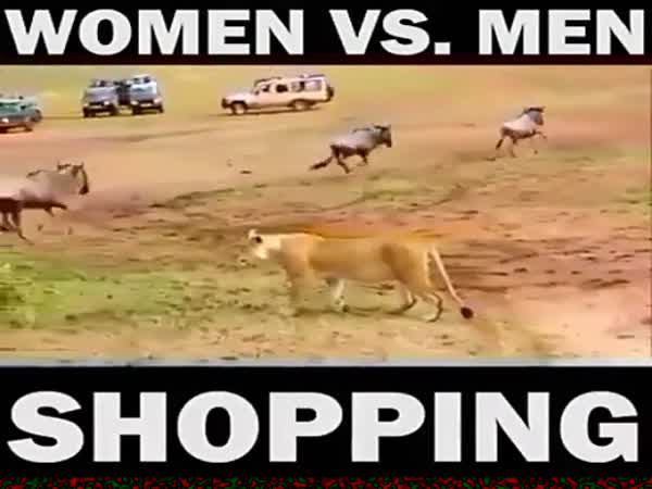 Women Vs Men Shopping