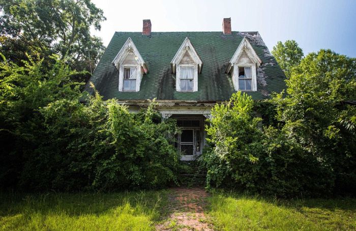You're Going To Be Shocked When You See This Abandoned Hoarder House (10 pics)