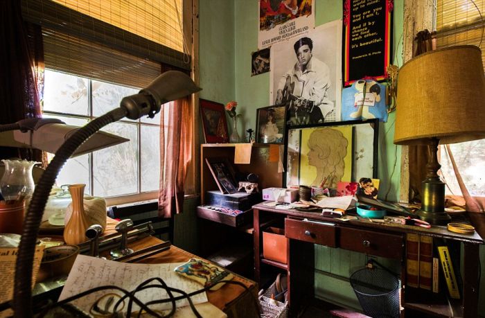 You're Going To Be Shocked When You See This Abandoned Hoarder House (10 pics)