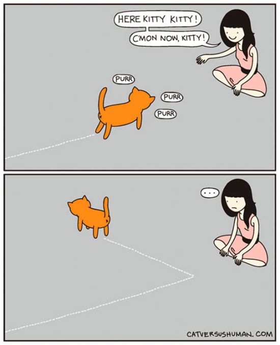 Comics That Hilariously Sum Up The Life Of A Cat Owner (52 pics)
