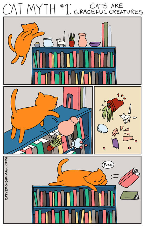 Comics That Hilariously Sum Up The Life Of A Cat Owner (52 pics)