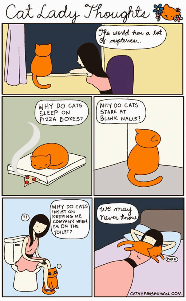 Comics That Hilariously Sum Up The Life Of A Cat Owner (52 pics)