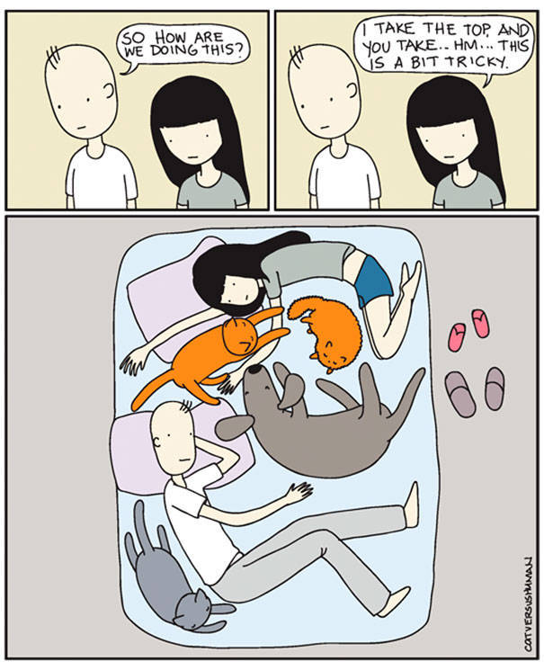 Comics That Hilariously Sum Up The Life Of A Cat Owner (52 pics)