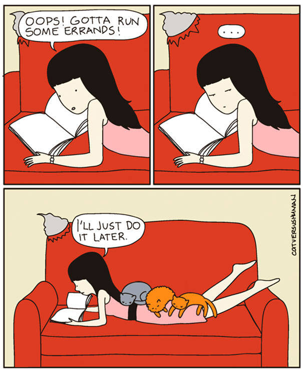 Comics That Hilariously Sum Up The Life Of A Cat Owner (52 pics)