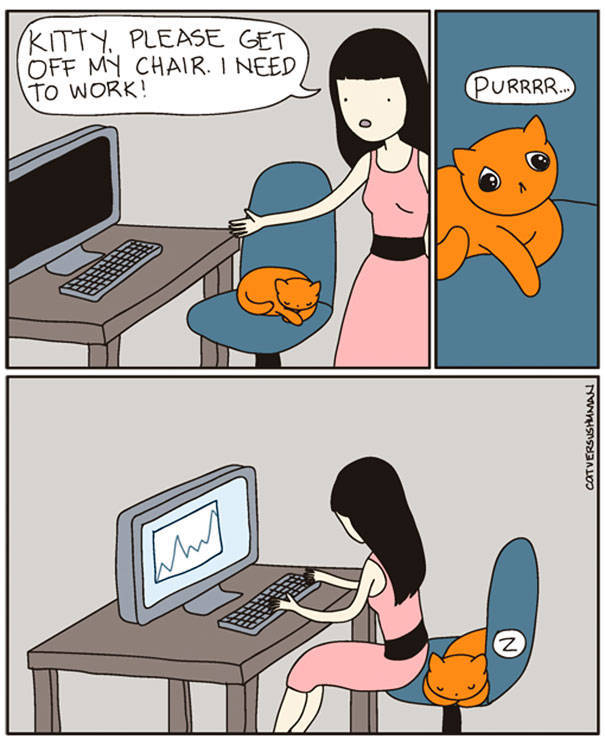 Comics That Hilariously Sum Up The Life Of A Cat Owner (52 pics)