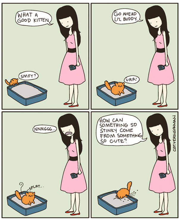 Comics That Hilariously Sum Up The Life Of A Cat Owner (52 pics)