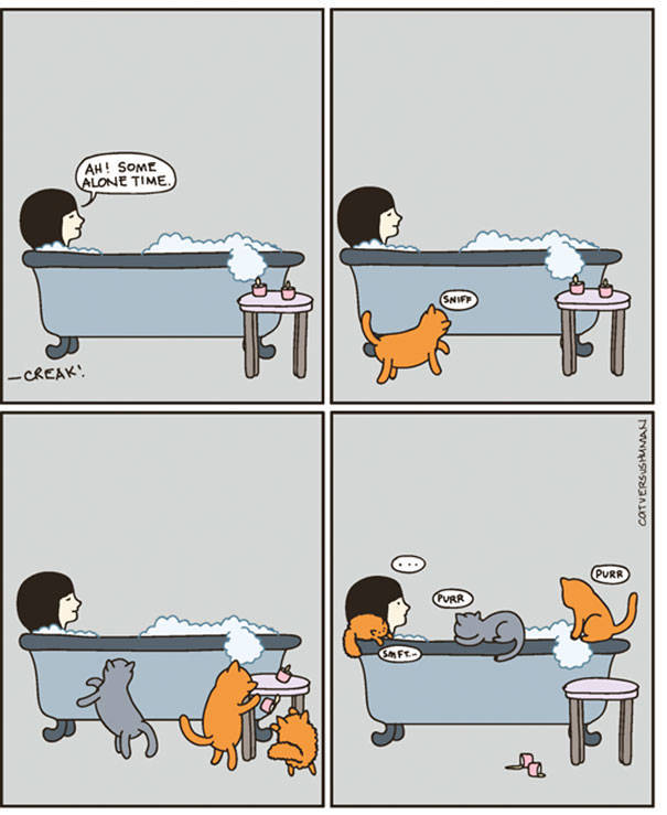 Comics That Hilariously Sum Up The Life Of A Cat Owner (52 pics)