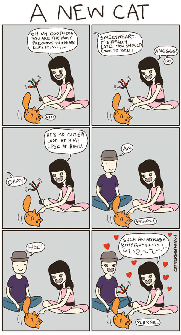 Comics That Hilariously Sum Up The Life Of A Cat Owner (52 pics)