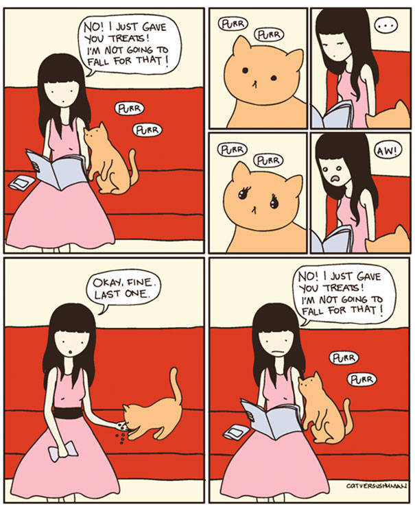 Comics That Hilariously Sum Up The Life Of A Cat Owner (52 pics)
