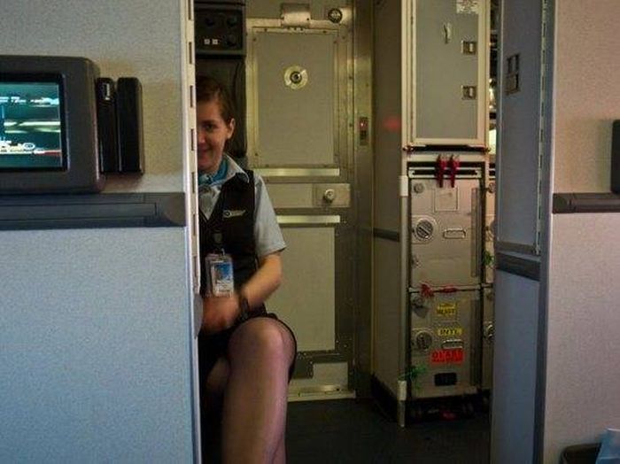 The Truth About What Really Goes On During Flights (20 pics)