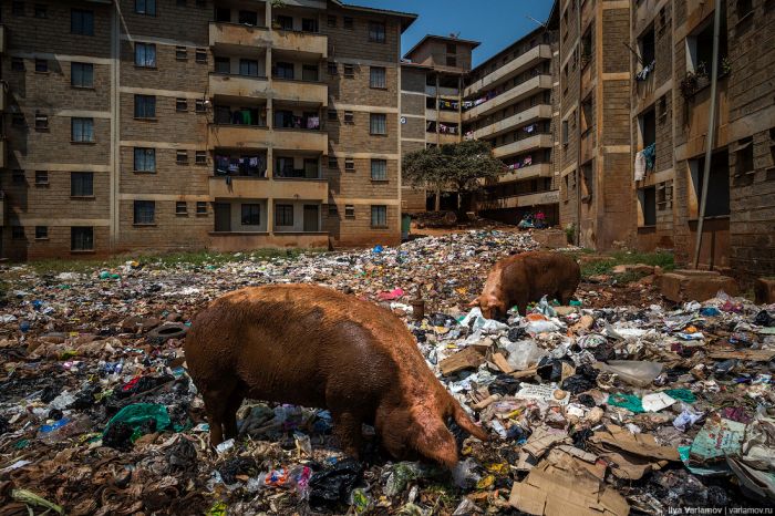 The Kibera District Is The Largest Urban Slum In Africa (27 pics)