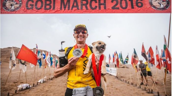 Stray Dog Joins Runner In A Marathon (4 pics)
