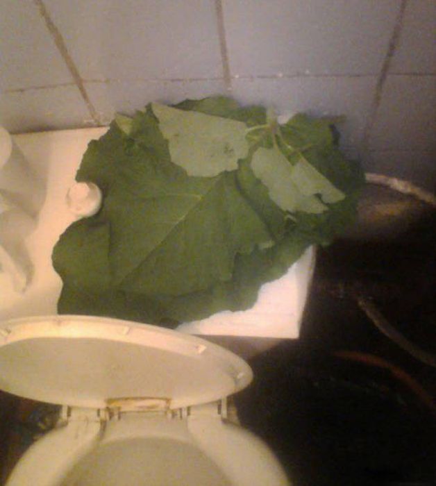 Photos From Russia That Prove The Country Is Out Of Control (37 pics)