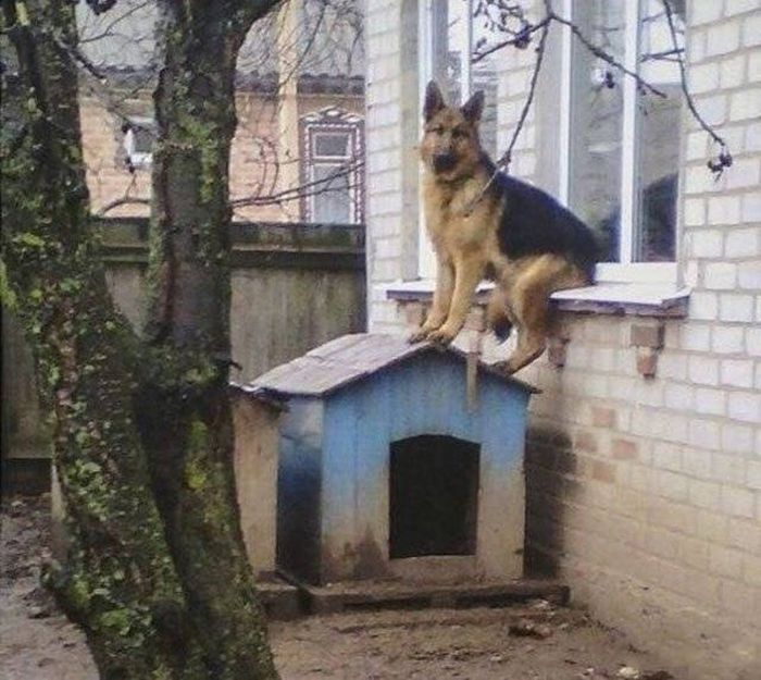 Photos From Russia That Prove The Country Is Out Of Control (37 pics)