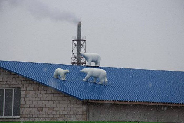Photos From Russia That Prove The Country Is Out Of Control (37 pics)