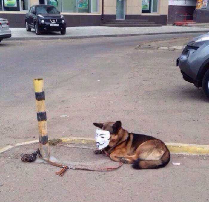 Photos From Russia That Prove The Country Is Out Of Control (37 pics)