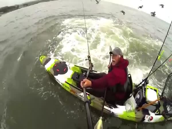 Fails Of The Week