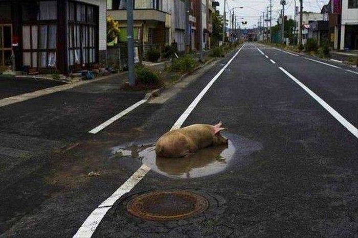Acid Picdump (115 pics)