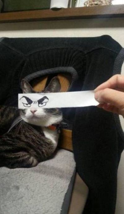 Acid Picdump (115 pics)