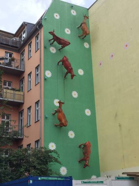 Acid Picdump (115 pics)
