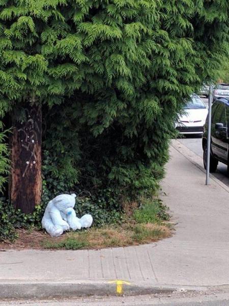 Acid Picdump (115 pics)