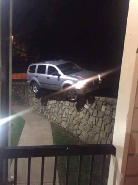 Acid Picdump (115 pics)
