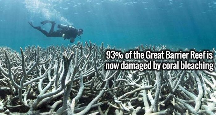 Amazing Facts That Will Make Your Mind Stronger (19 pics)