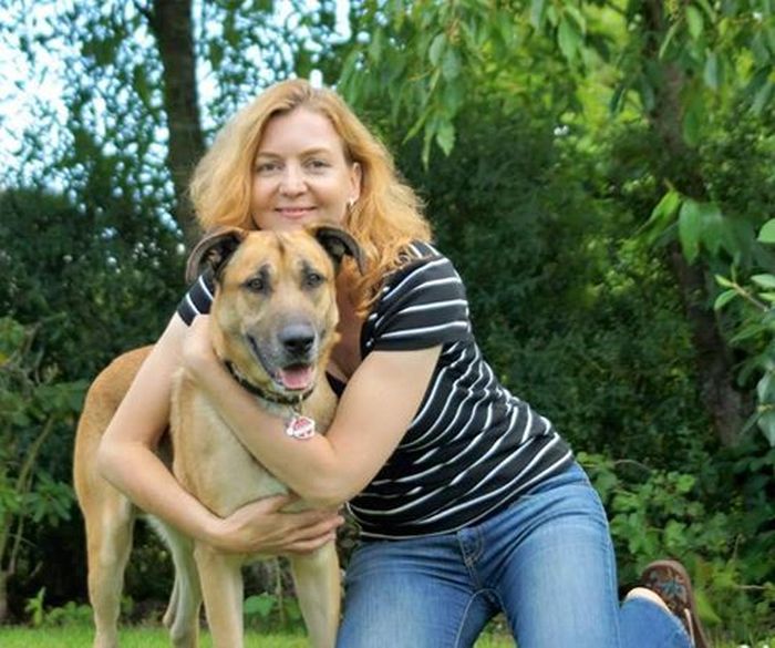 Stray Dog Follows Flight Attendant And Finds A New Home (10 pics)