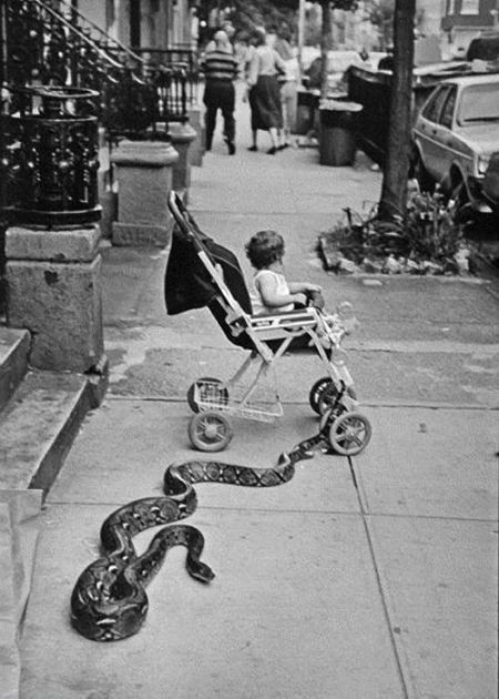 Vintage Photos That Will Leave You Baffled (27 pics)