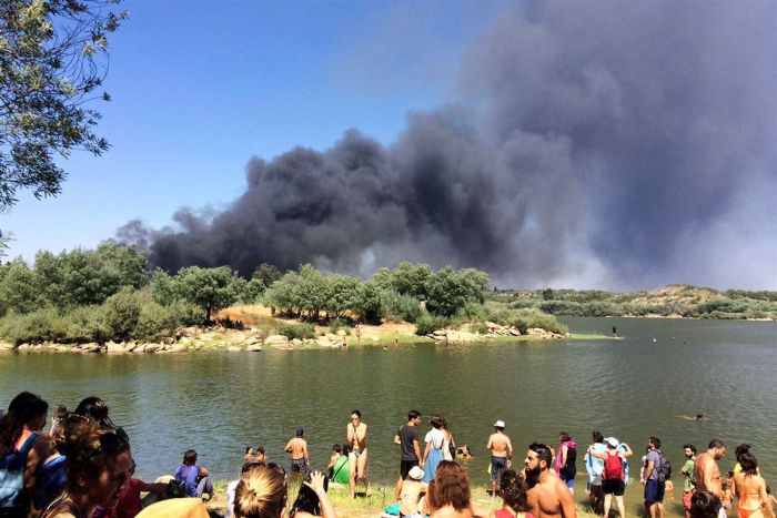 Over 400 Cars Destroyed By Fire At Music Festival (10 pics)