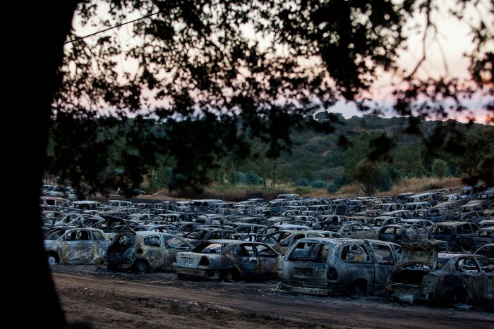 Over 400 Cars Destroyed By Fire At Music Festival (10 pics)