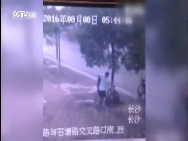 Surveillance Camera Captures Man Chopping Down Tree To Steal Bike